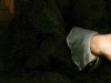 A. Van Dyck, Ritratto di Marcello Durazzo, part. (SSPSAE-Ve, Archivio fotografico, Dino Zanella)
